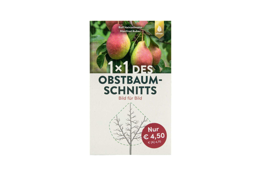 1 x 1 des Obstbaumschnitt 