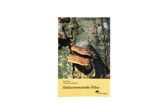 Holzzersetzende Pilze